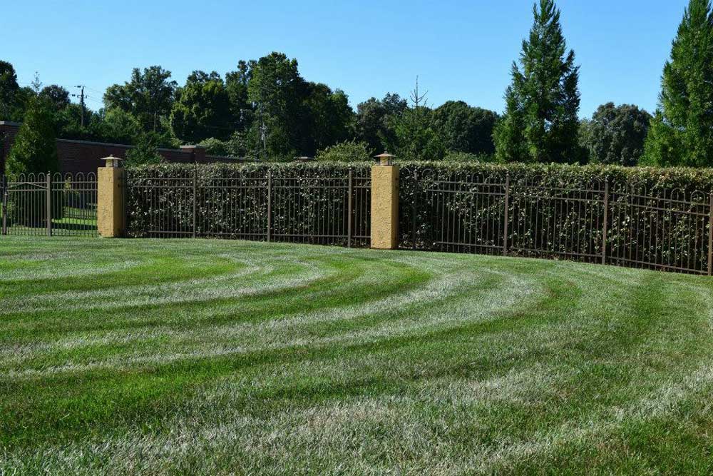 Yard maintenance and mowing in Knoxville TN