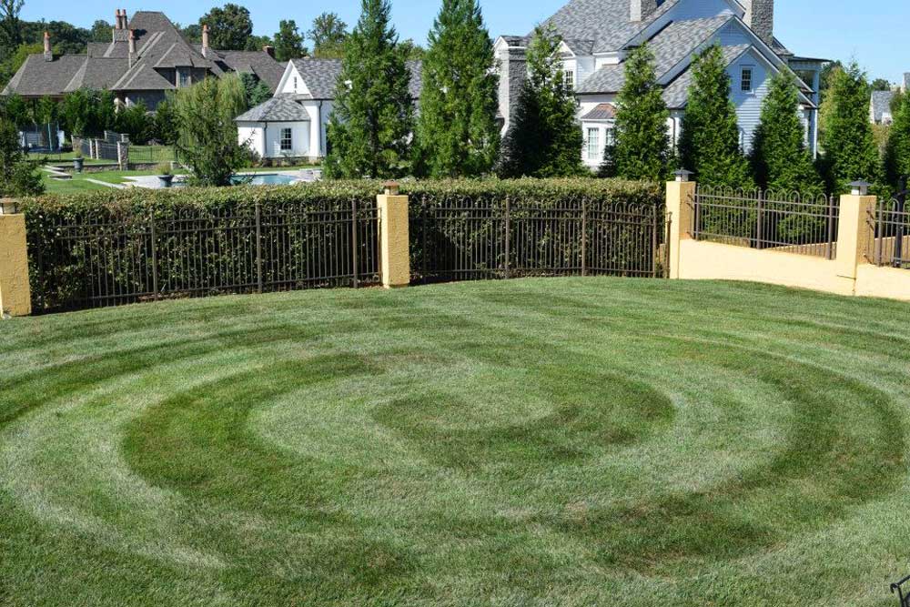 Knoxville landscape and yard maintenance
